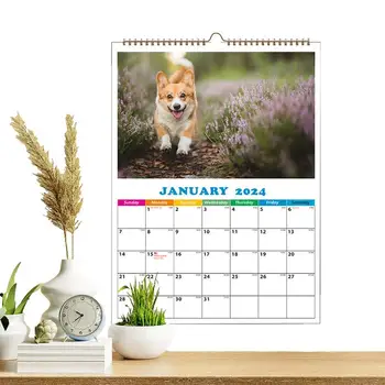 Месечен календар за кучета в 2024 година, Забавен дневен Календар за котки, Стенен календар във формат А4, Календар за кучета, Ежедневна Декор на стените за апартамент, хотел