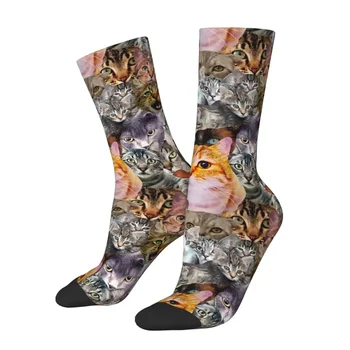 Чорапи All Seasons Crew, сладки чорапи за любителите на котки, Смешни чорапи-колажи с котки, аксесоари за дълги чорапи в стил хип-хоп за мъже и жени, подарък за рожден ден