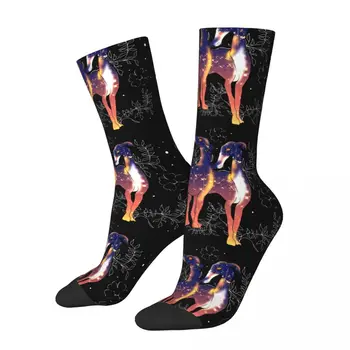 Зимните унисекс чорапи за кучета Magical Небесната Space Geryhound Greyhounds Топли чорапи Happy Socks в уличном стил Crazy Sock